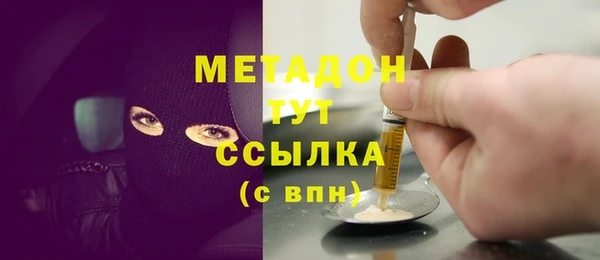 сатива Каменка