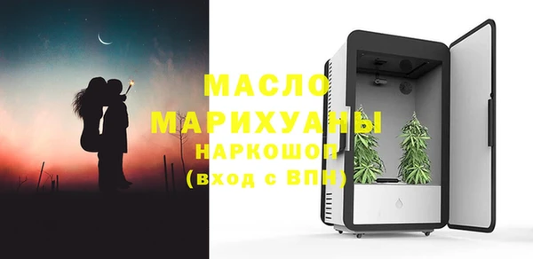 сатива Каменка