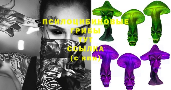 сатива Касимов