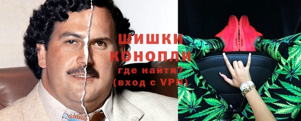 сатива Каменка