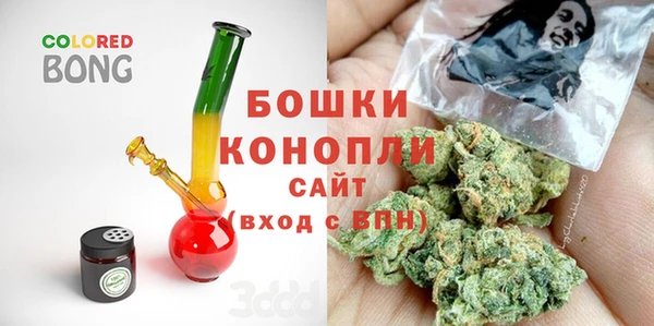 сатива Каменка