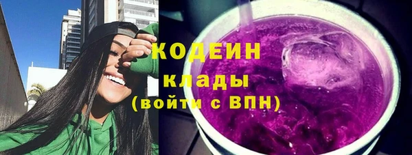 сатива Каменка