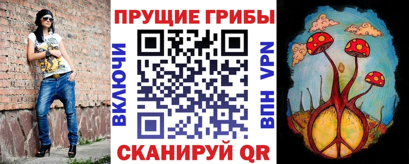 Купить закладки  Дивногорск  Псилоцибиновые грибы Psilocybine cubensis 